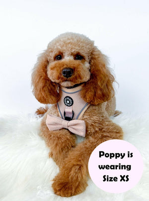 Glow Harness® - Almond Tweed - Bailey and Coco (UK)