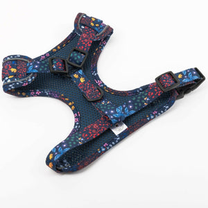 Glow Harness® and Lead Set - Enchanted - Bailey and Coco (UK)