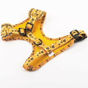 Glow Harness® and Lead Set - Wanna - Bee - Bailey and Coco (UK)