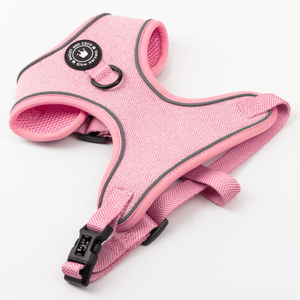 Glow Harness® - Bubblegum Pink Tweed - Bailey and Coco (UK)