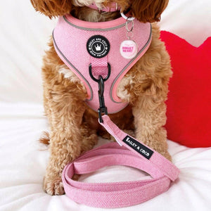 Glow Harness® - Bubblegum Pink Tweed - Bailey and Coco (UK)