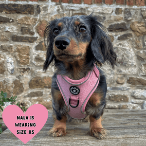 Glow Harness® - Bubblegum Pink Tweed - Bailey and Coco (UK)