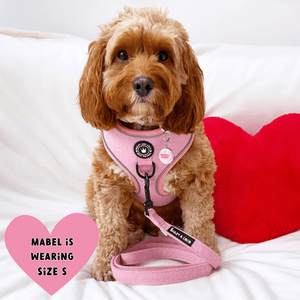 Glow Harness® - Bubblegum Pink Tweed - Bailey and Coco (UK)