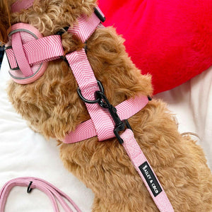 Glow Harness® - Bubblegum Pink Tweed - Bailey and Coco (UK)