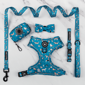 Glow Harness® Bundle Set - A Dog's Tail - Bailey and Coco (UK)