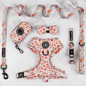 Glow Harness® Bundle Set - Autumn Magic - Bailey and Coco (UK)