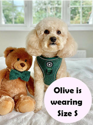 Glow Harness® Bundle Set - Emerald Teddy - Bailey and Coco (UK)