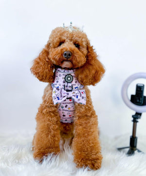 Glow Harness® Bundle Set - Pupfluencer Little Queen - Bailey and Coco (UK)