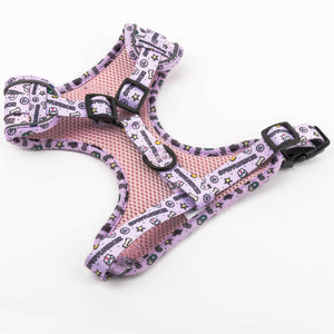 Glow Harness® Bundle Set - Pupfluencer Little Queen - Bailey and Coco (UK)