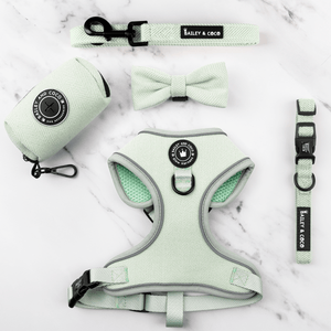 Glow Harness® Bundle Set - Sage Tweed - Bailey and Coco (UK)