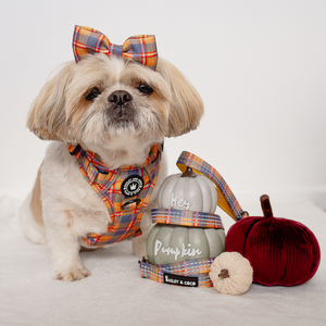 Bow Tie - Rustic Tartan.