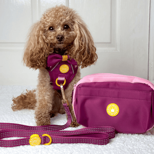 Magnetic Snap Dog Walking Bum Bag - We're Jammin' - Bailey and Coco (UK)