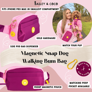 Magnetic Snap Dog Walking Bum Bag - We're Jammin' - Bailey and Coco (UK)