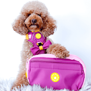 Magnetic Snap Dog Walking Bum Bag - We're Jammin' - Bailey and Coco (UK)