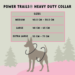 Premium Power Trails® Heavy - Duty Utility Dog Collar - All Black - Bailey and Coco (UK)