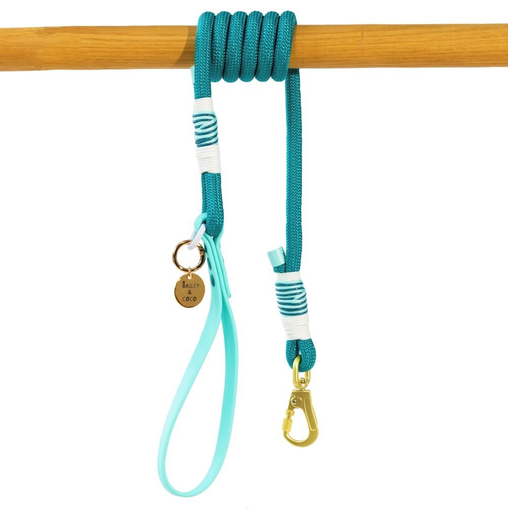 Rope Dog Lead COLOUR DROPS® - Ice Teal - Bailey and Coco (UK)