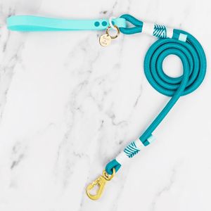 Rope Dog Lead COLOUR DROPS® - Ice Teal - Bailey and Coco (UK)