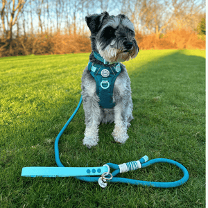 Rope Dog Lead COLOUR DROPS® - Ice Teal - Bailey and Coco (UK)