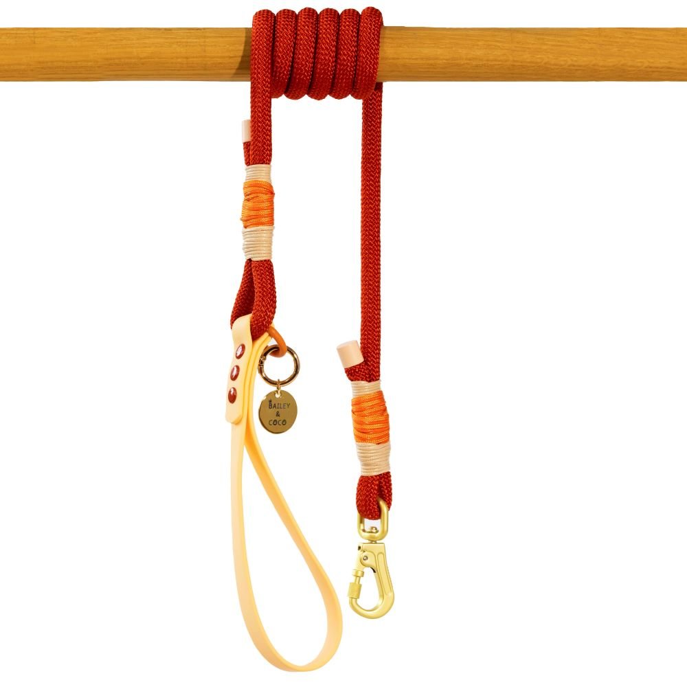 Rope Dog Lead COLOUR DROPS® - Spice it Up - Bailey and Coco (UK)