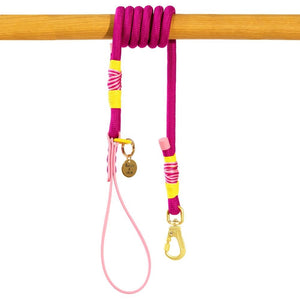 Rope Dog Lead COLOUR DROPS® - We're Jammin' - Bailey and Coco (UK)