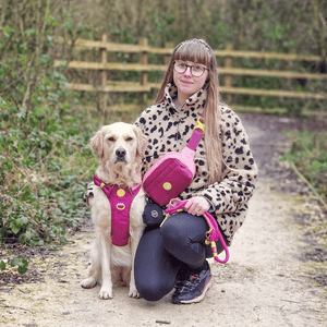 Rope Dog Lead COLOUR DROPS® - We're Jammin' - Bailey and Coco (UK)