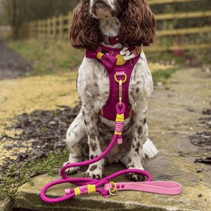 Rope Dog Lead COLOUR DROPS® - We're Jammin' - Bailey and Coco (UK)