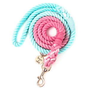 Rope Dog Lead - Ombre Cyan & Pink - Bailey and Coco (UK)