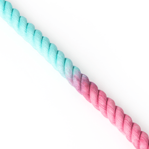 Rope Dog Lead - Ombre Cyan & Pink - Bailey and Coco (UK)