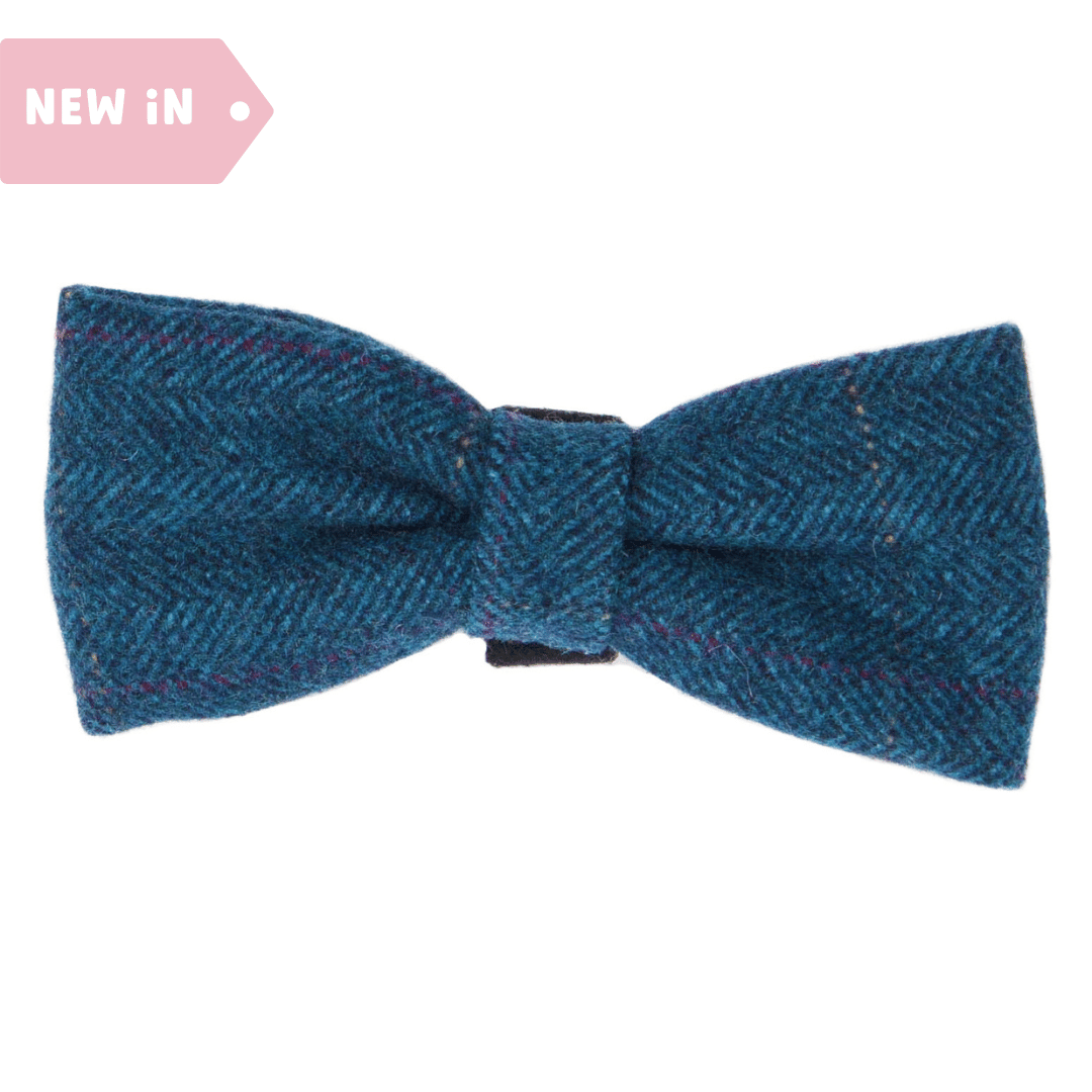 Sapphire Tweed Bow Tie - Bailey and Coco (UK)