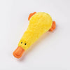 Squeeky Duck Dog Toy - Yellow - Bailey and Coco (UK)