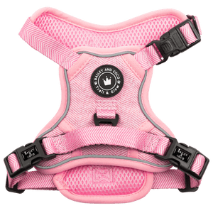 Trail and Glow - Tweed Harness - Bailey and Coco (UK)