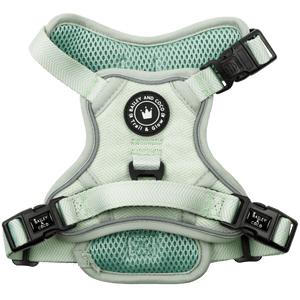 Trail and Glow - Tweed Harness - Bailey and Coco (UK)