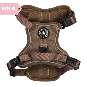 Trail and Glow - Tweed Harness - Bailey and Coco (UK)