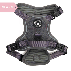 Trail and Glow - Tweed Harness - Bailey and Coco (UK)