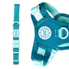 Trail & Glow® Adjustable Collar - COLOUR DROPS® - Ice Teal - Bailey and Coco (UK)