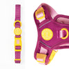 Trail & Glow® Adjustable Collar - COLOUR DROPS® - We're Jammin' - Bailey and Coco (UK)