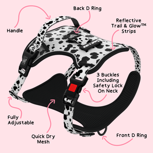 Trail & Glow® Adjustable Dog Harness - On the Dot - Bailey and Coco (UK)