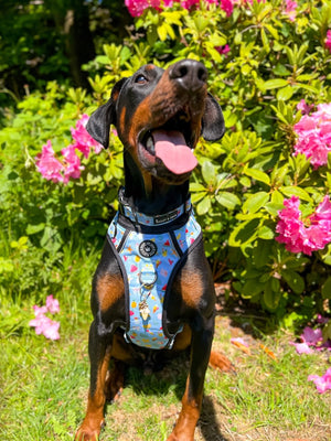 Trail & Glow® Collar - Feels Like Summer - Bailey and Coco (UK)