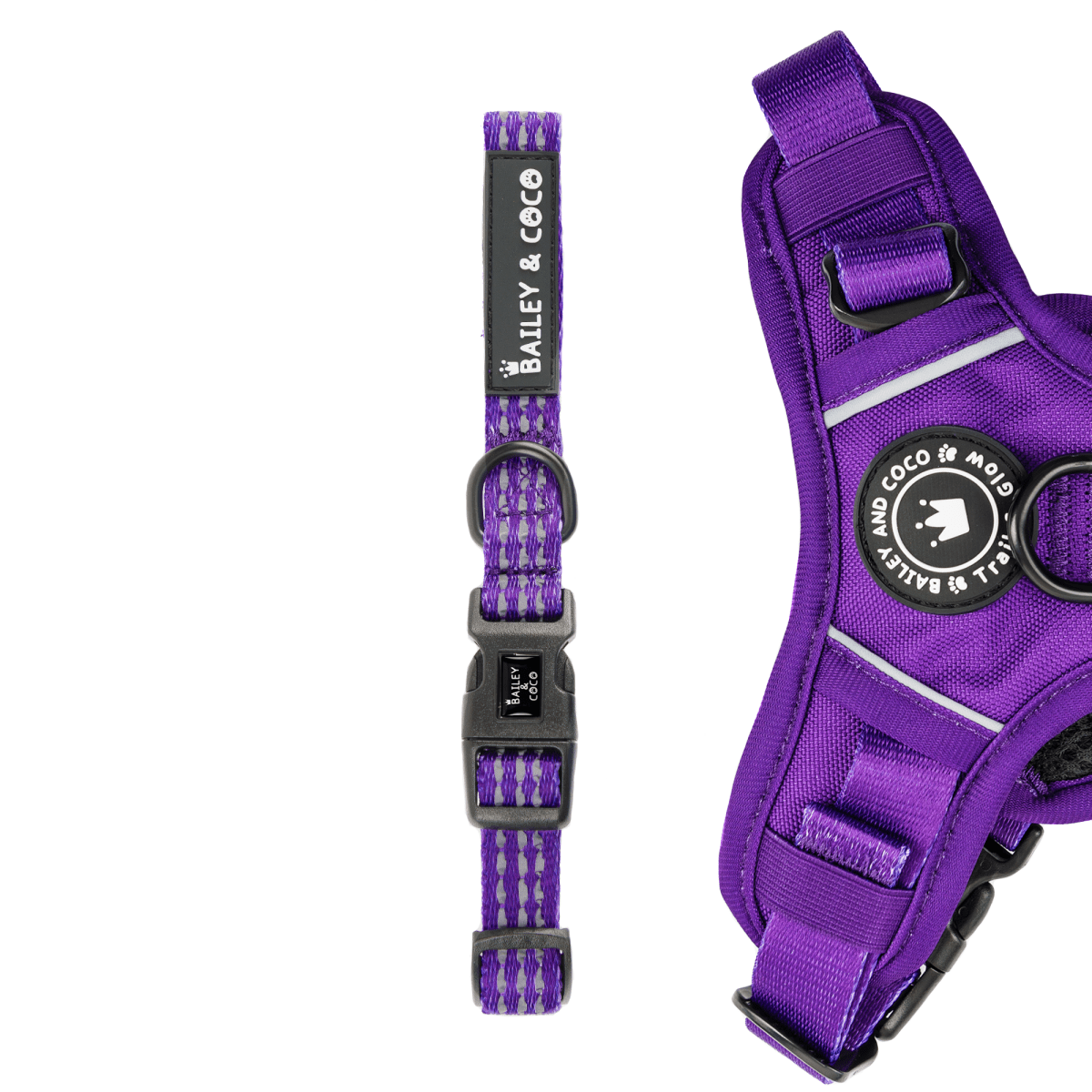 Trail & Glow® Collar - The Royal Purple One - Bailey and Coco (UK)