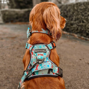 Trail & Glow® Dinosaur Dog Harness – Dino Party - Bailey and Coco (UK)