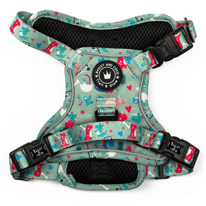 Trail & Glow® Dinosaur Dog Harness – Dino Party - Bailey and Coco (UK)