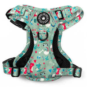 Trail & Glow® Dinosaur Dog Harness – Dino Party - Bailey and Coco (UK)