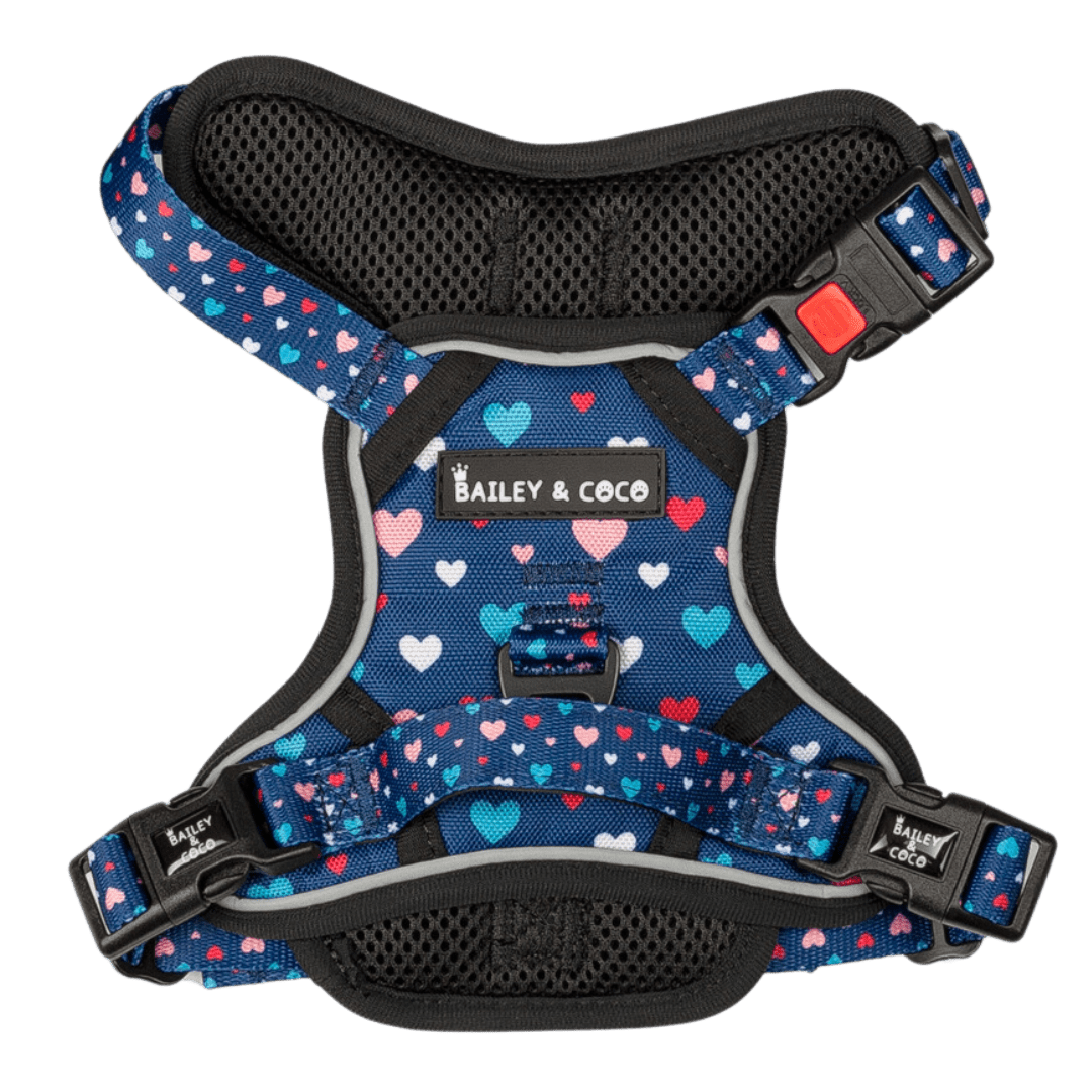 Trail & Glow® Dog Harness - All You Need Is Love - Original Design - Bailey and Coco (UK)