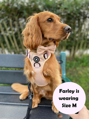 Trail & Glow® Dog Harness - Almond Tweed - Bailey and Coco (UK)