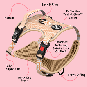 Trail & Glow® Dog Harness - Almond Tweed - Bailey and Coco (UK)