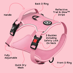 Trail & Glow® Dog Harness Bundle Set - Bubblegum Pink Tweed - Bailey and Coco (UK)