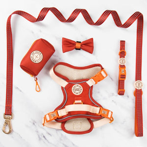 Trail & Glow® Dog Harness Bundle Set - COLOUR DROPS® - Spice it up - Bailey and Coco (UK)