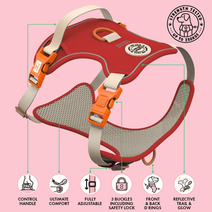 Trail & Glow® Dog Harness Bundle Set - COLOUR DROPS® - Spice it up - Bailey and Coco (UK)