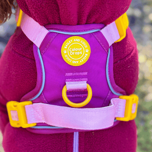 Trail & Glow® Dog Harness Bundle Set - COLOUR DROPS® - We're Jammin' - Bailey and Coco (UK)