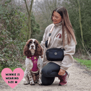 Trail & Glow® Dog Harness Bundle Set - COLOUR DROPS® - We're Jammin' - Bailey and Coco (UK)